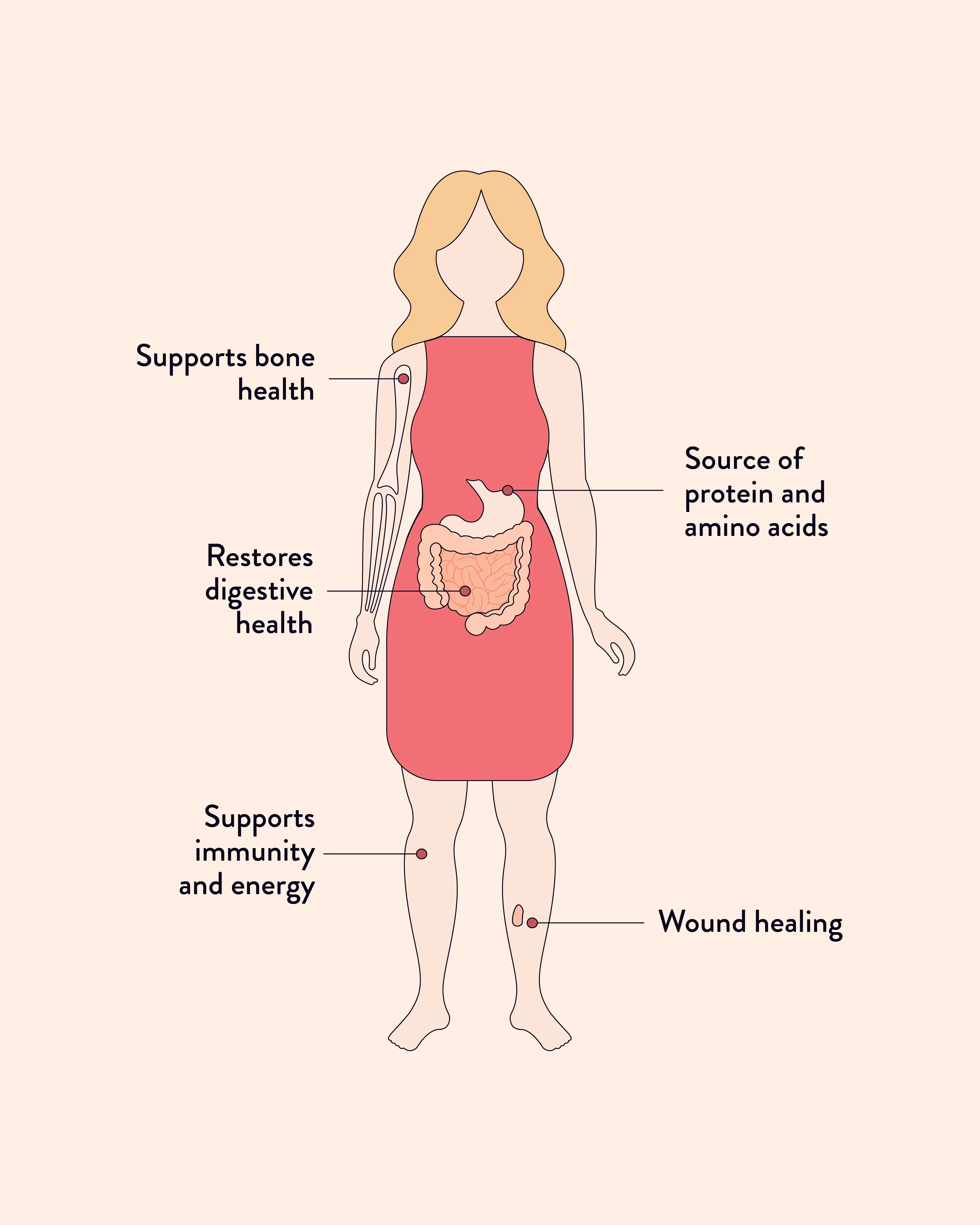 Beef Bone Broth Miso Ramen - Image 3