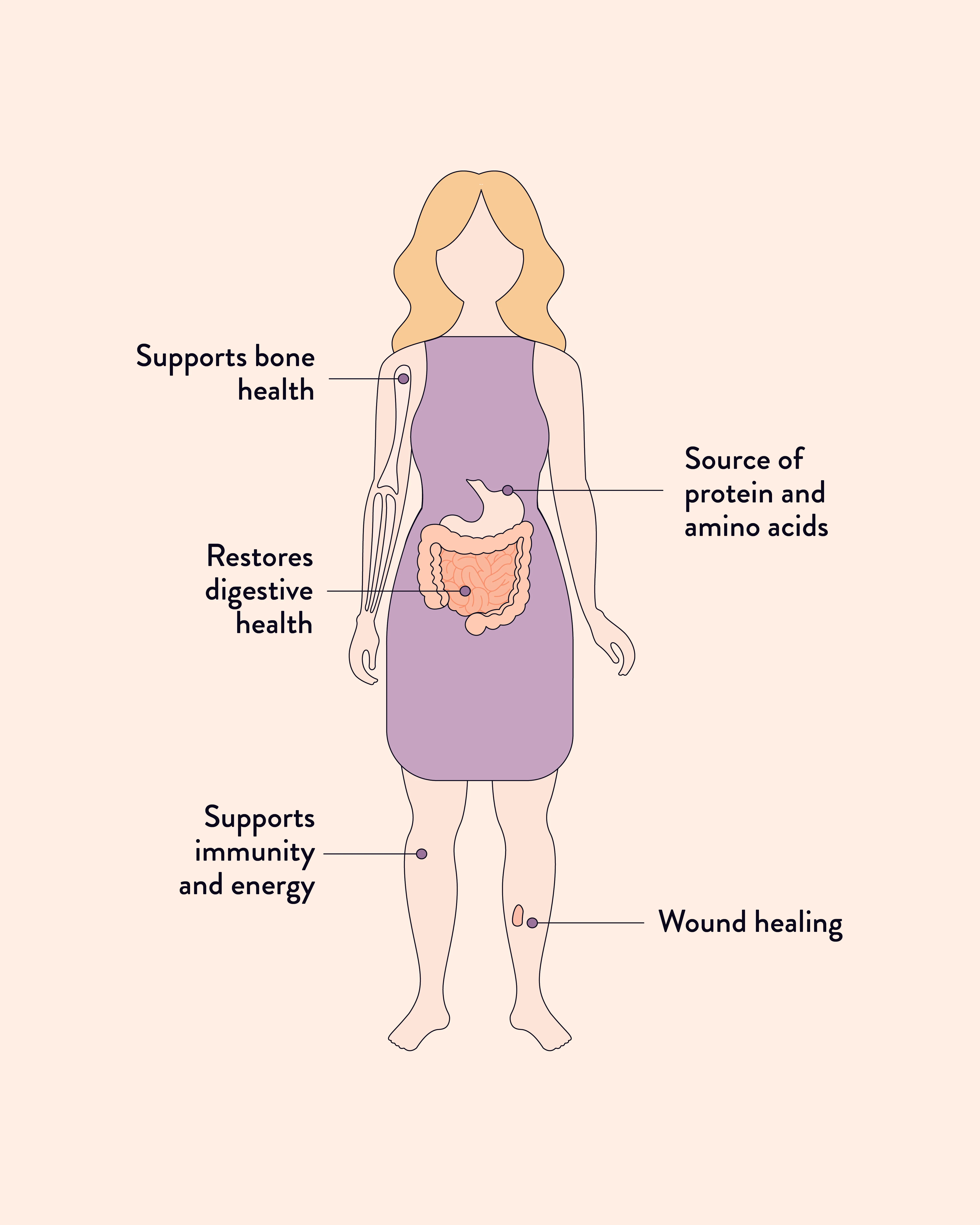 Beef Bone Broth Adaptogenic Mushroom - Image 3