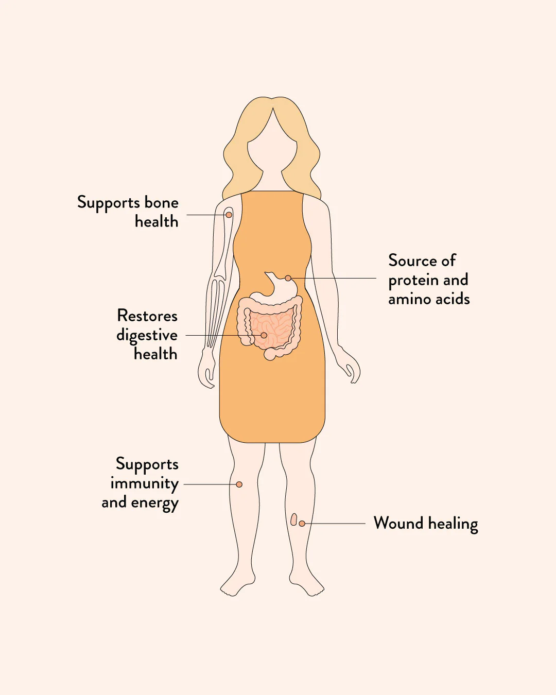 Chicken Bone Broth Miso Ramen - Image 3