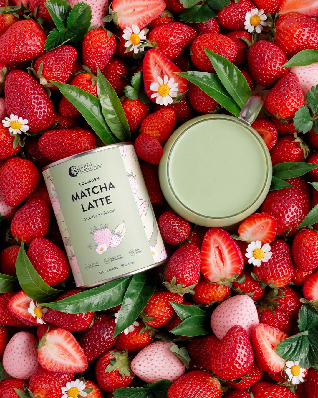 Daily Ritual Bundle - Large - Image 5