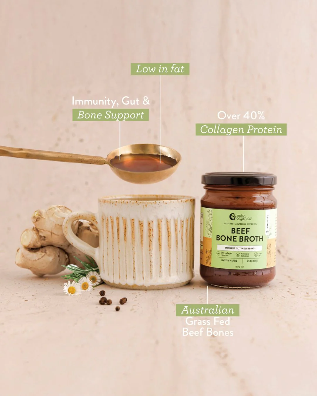 First Timer's Faves - Image 4