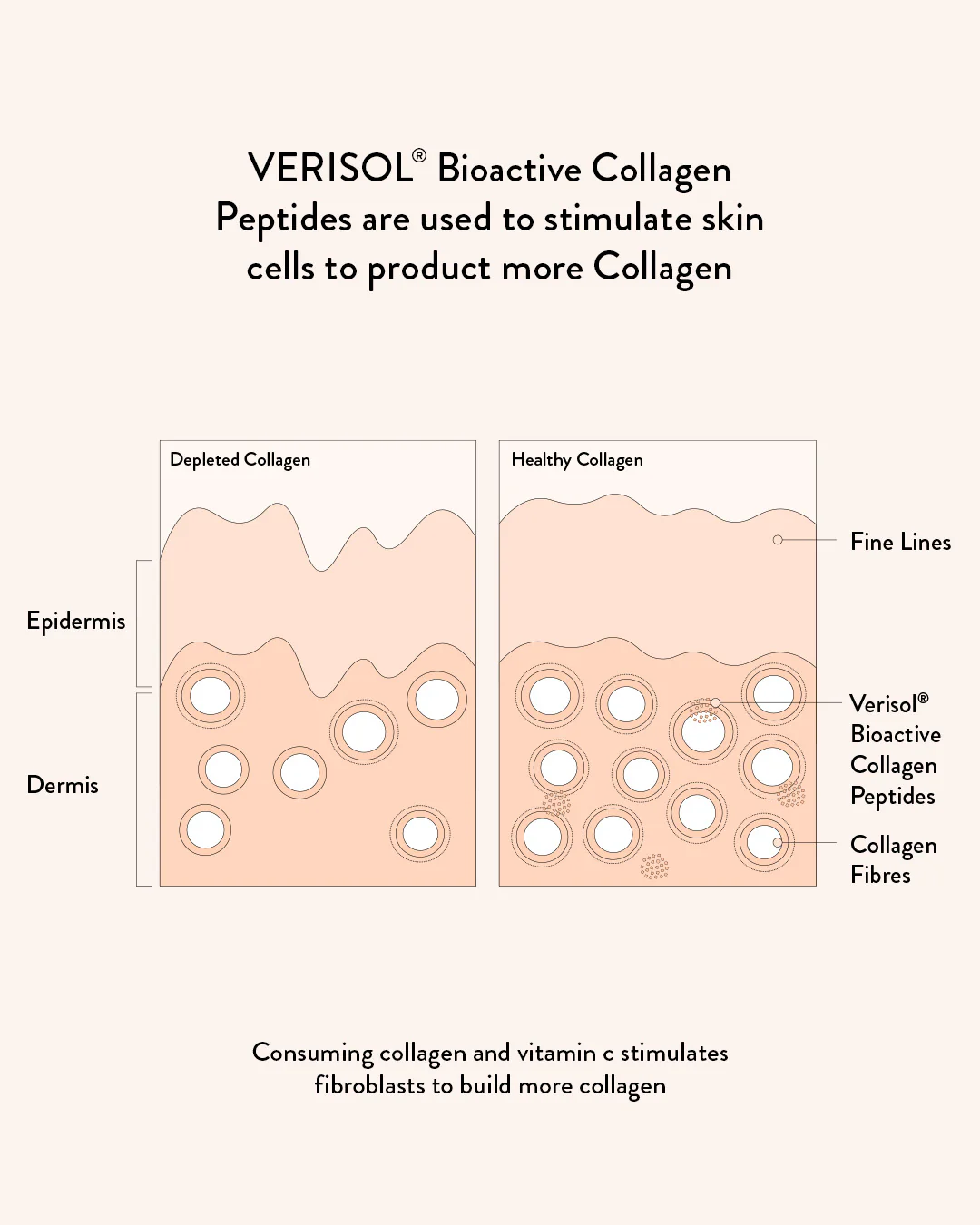 Collagen Beauty Blueberry Wildflower - Image 9