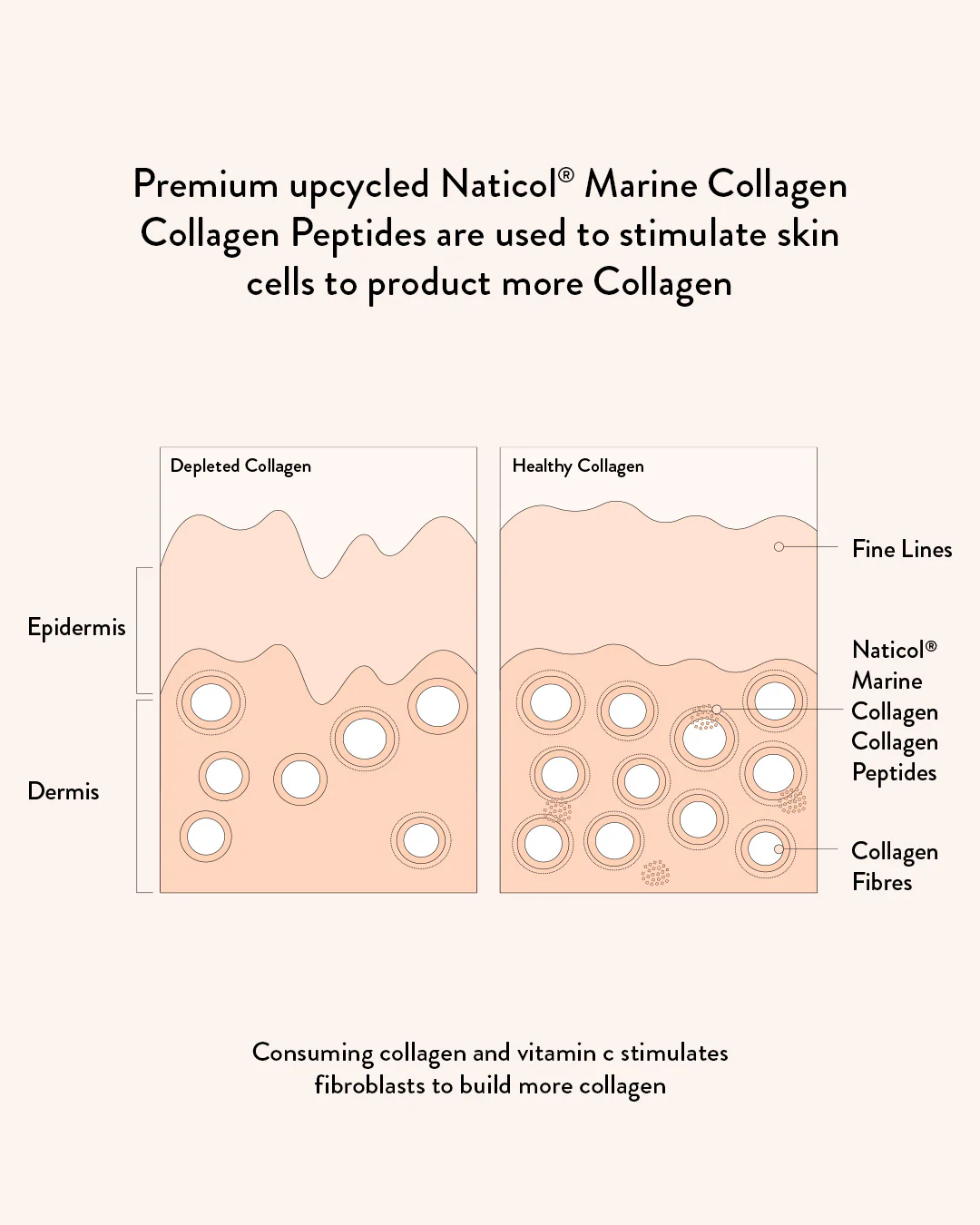 Marine Collagen Beauty - Image 8