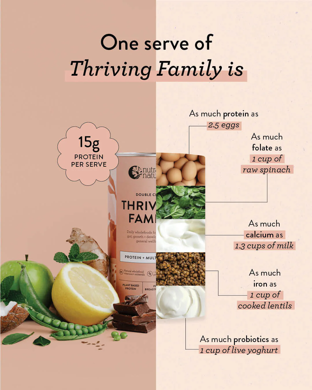 Thriving Family Double Choc - Image 7